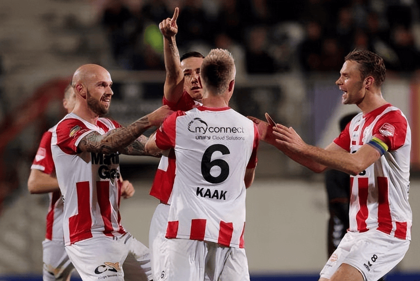 树影带来的 树影带来的